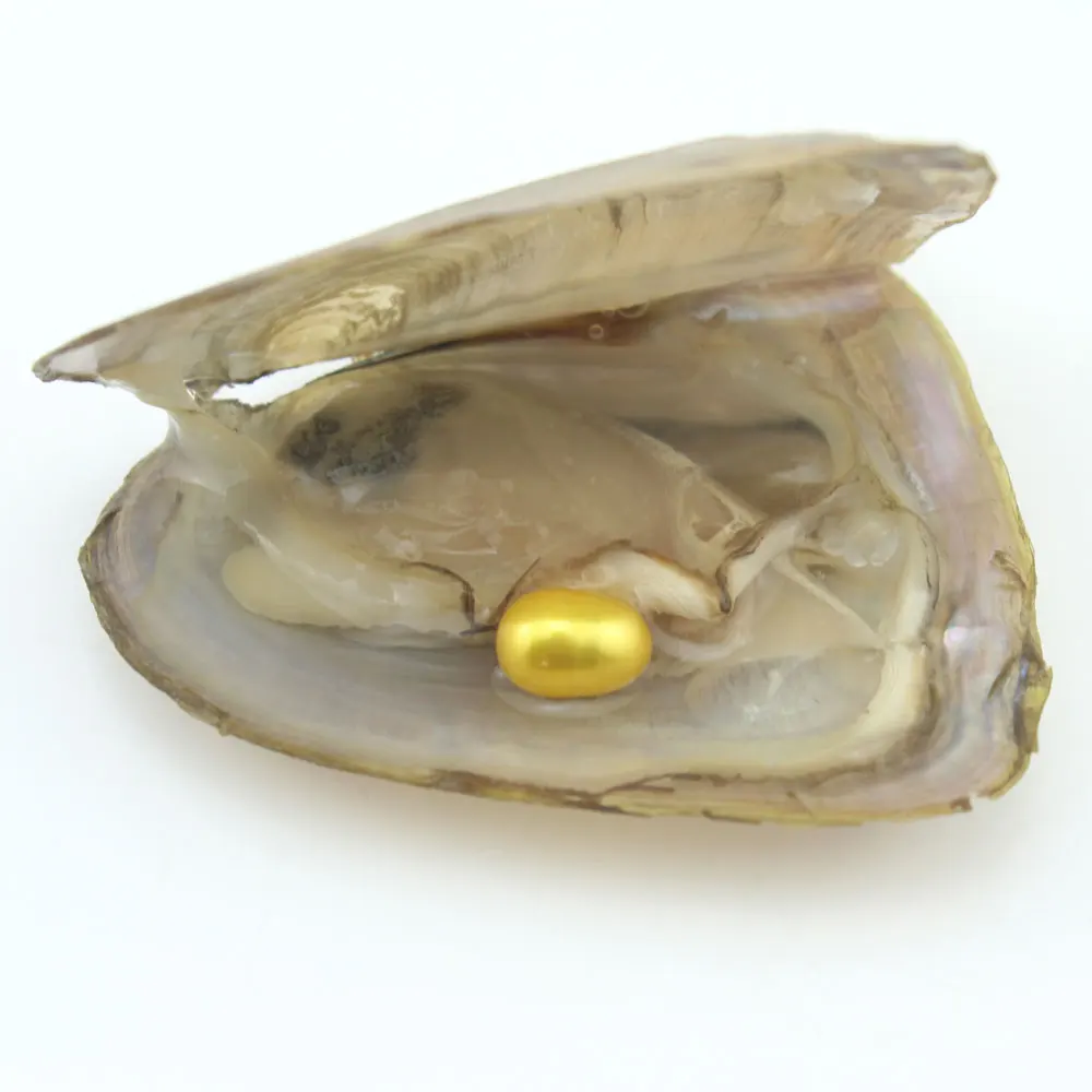 Хит! натуральный жемчуг Oyster 20 шт./лот 7-8 мм Овальный бисер Oysters жемчуг Пресноводный Культивированный бусины в виде риса жемчуг подарок на ден...
Хит! натуральный жемчуг Oyster 20 шт./лот 7-8 мм Овальный бисер Oysters жемчуг Пресноводный Культивированный бусины в виде риса жемчуг подарок на ден...