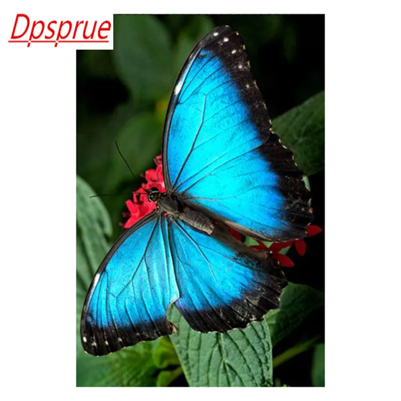 Dpsprue 5D Full Square / Round DIY Diamond Painting Cross Stitch Animal Butterfly 3D Embroidery Diamond Mosaic Home Decor Gift
Dpsprue 5D Full Square / Round DIY Diamond Painting Cross Stitch Animal Butterfly 3D Embroidery Diamond Mosaic Home Decor Gift