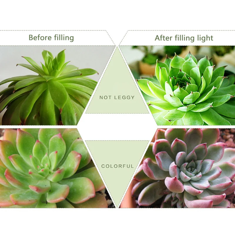 Phyto Lamp LED Grow Light Full Specturm LED Hydroponics Light For Vegetable Seedlings Greenhouse Plant Lighting
Phyto Lamp LED Grow Light Full Specturm LED Hydroponics Light For Vegetable Seedlings Greenhouse Plant Lighting