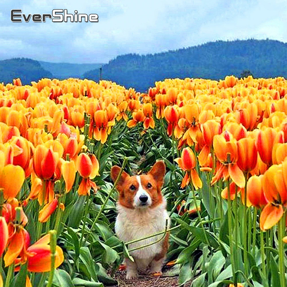 Алмазная 5D мозаика Evershine, картина с животными, вышивка крестиком, полная выкладка, квадратные картины с изображением собак Стразы
Алмазная 5D мозаика Evershine, картина с животными, вышивка крестиком, полная выкладка, квадратные картины с изображением собак Стразы
