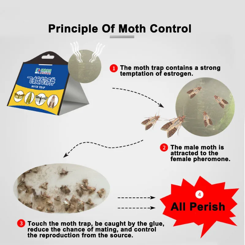 5pc/lot Moth Trap Pest Control Moth Killer Fly Insect Killer Mosquito Repeller Pest Reject Fly Trap Garden Home Yard Supplies
5pc/lot Moth Trap Pest Control Moth Killer Fly Insect Killer Mosquito Repeller Pest Reject Fly Trap Garden Home Yard Supplies