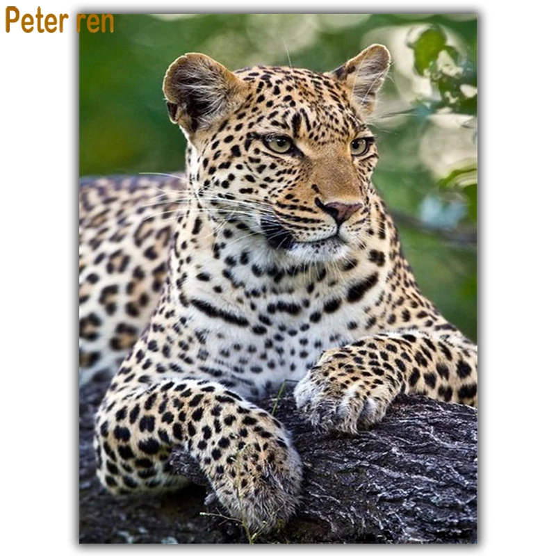 Diy diamond painting cross stitch 3d Diamond embroidery animal 5d Square/Round diamond bedroom restaurant "Leopard lying prone"
Diy diamond painting cross stitch 3d Diamond embroidery animal 5d Square/Round diamond bedroom restaurant "Leopard lying prone"