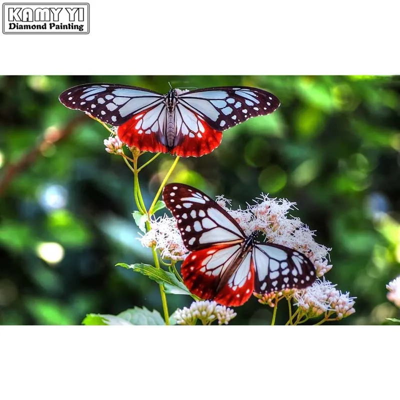 Full Drill Square/Round Diamond 5D DIY Diamond Painting Embroidery Cross Stitch "Butterflies" Rhinestone Mosaic Painting Arts
Full Drill Square/Round Diamond 5D DIY Diamond Painting Embroidery Cross Stitch "Butterflies" Rhinestone Mosaic Painting Arts