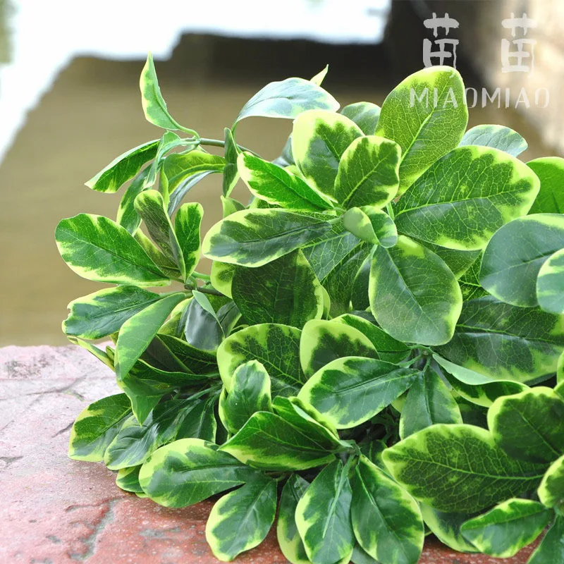 New arrival artificial simulation plant 6/12 branches large leaf plant for home garden decoration
New arrival artificial simulation plant 6/12 branches large leaf plant for home garden decoration
