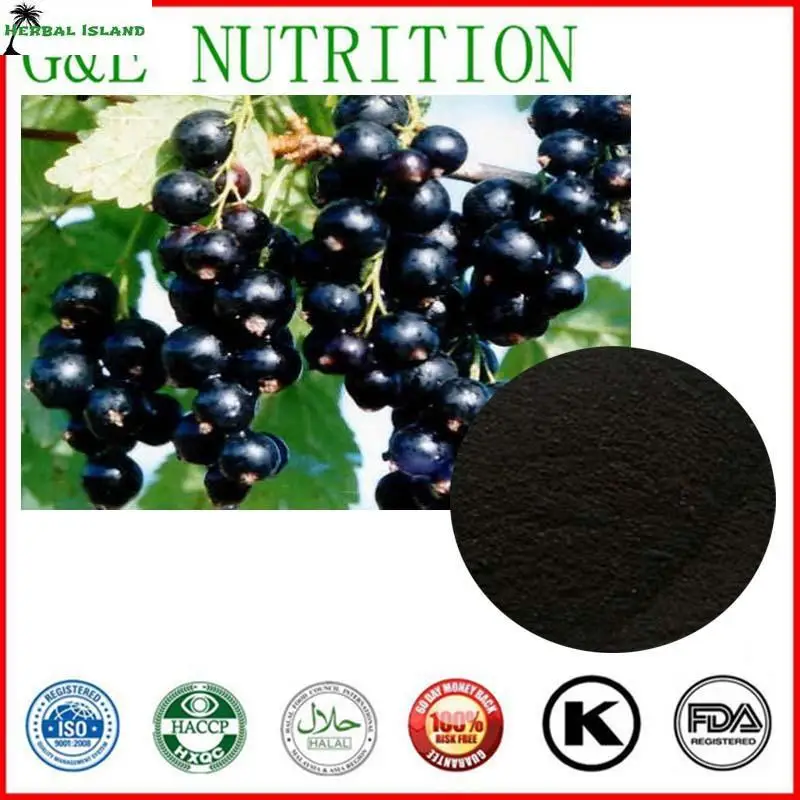 Природные Высокое Качество Черной Смородины Экстракт 10:1|natural extract|extract |