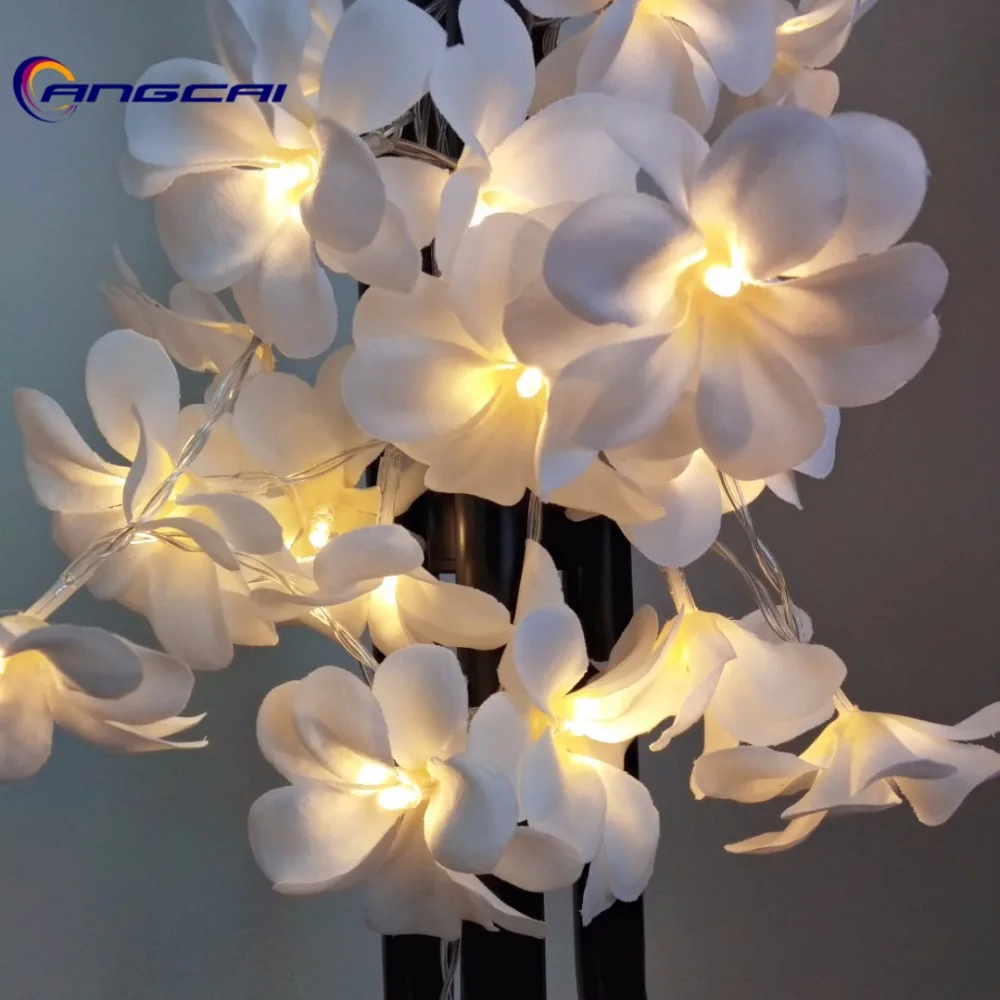 white Violet cloth frangipani floral wedding led battery string lights, Plumeria,garland,party,xmas,bedroom decor 1/2/3/4M
white Violet cloth frangipani floral wedding led battery string lights, Plumeria,garland,party,xmas,bedroom decor 1/2/3/4M