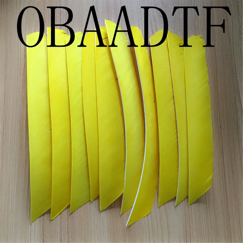 50pcs Yellow Full Length Real Turkey Feather For Archery Hunting And Shooting Arrow Fletching Hot Sale
50pcs Yellow Full Length Real Turkey Feather For Archery Hunting And Shooting Arrow Fletching Hot Sale