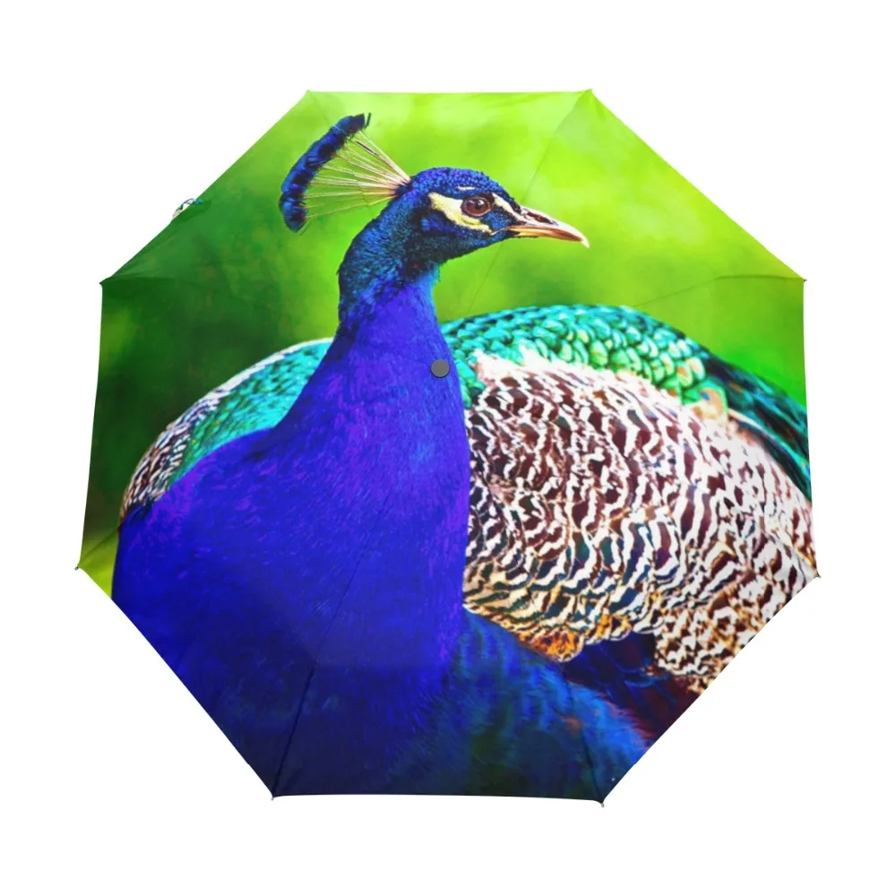Purple Peacock Printed Automatic Umbrella Wind Resistant Folding Automatic Umbrella Male Auto Luxury Big Windproof Umbrellas
Purple Peacock Printed Automatic Umbrella Wind Resistant Folding Automatic Umbrella Male Auto Luxury Big Windproof Umbrellas