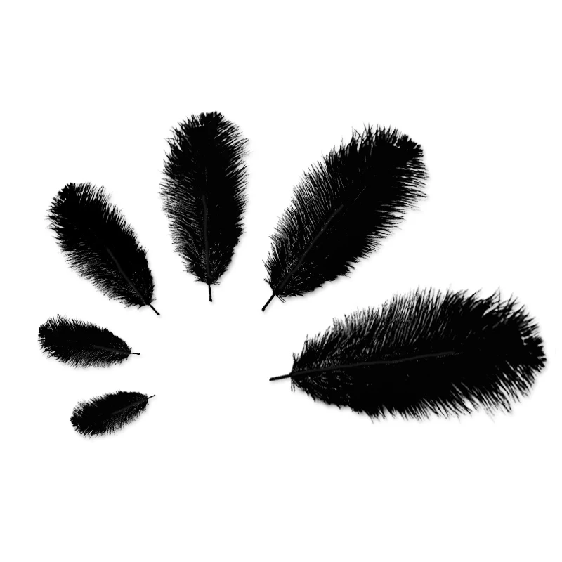 10pcs 20-22inches(50-55cm) Black Wholesale Beautiful Ostrich Feathers Party Decoration
10pcs 20-22inches(50-55cm) Black Wholesale Beautiful Ostrich Feathers Party Decoration