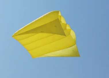 

NEW ARRIVE 3D 4.5 Square HIGH QUALITY PILOT KITE NYLON CLOTHE POWER WINDSOCKS / INFLATABLE KITES GOOD FLYING KITE FESTIVAL