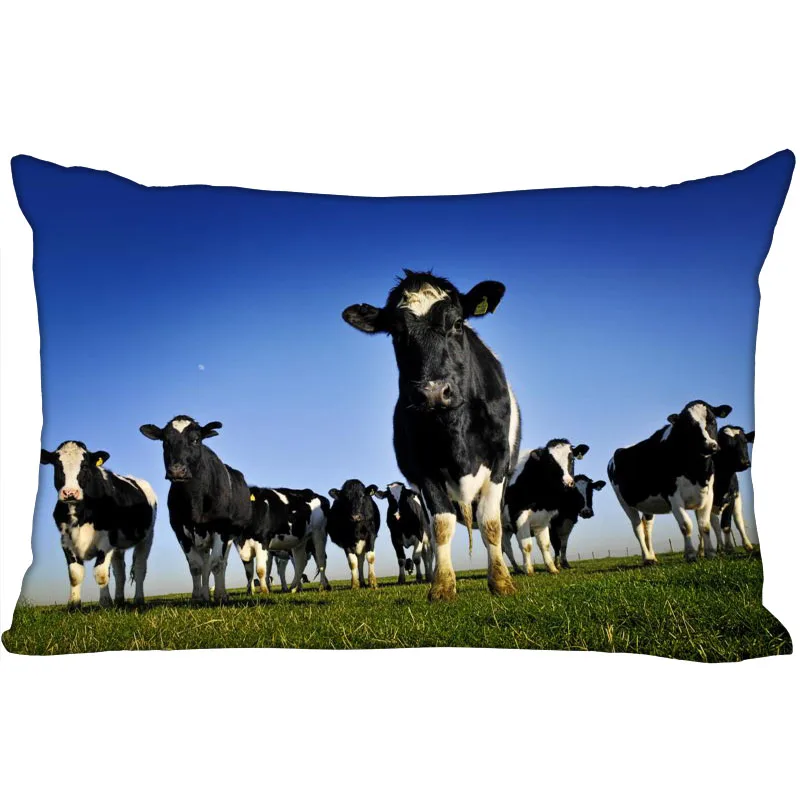 Новинка, чехол на молнии для телефона, размер 45x35 см, 40x60 см, 45x75 см, 50x75 см (с двух сторон)
Новинка, чехол на молнии для телефона, размер 45x35 см, 40x60 см, 45x75 см, 50x75 см (с двух сторон)