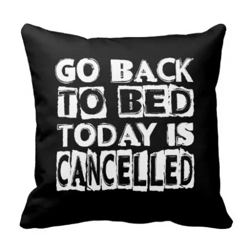 Funny Today Is Cancelled Cushion Cover Novelty Quotes Decorative Throw Pillow Case Fun Letter Quote Pillows Sham Sofa Decor 18"
Funny Today Is Cancelled Cushion Cover Novelty Quotes Decorative Throw Pillow Case Fun Letter Quote Pillows Sham Sofa Decor 18"