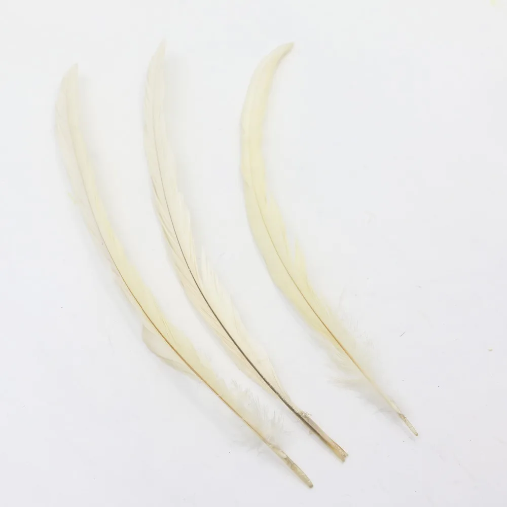 14-16inch(35-40cm) chicken feather 10pcs nature rooster tail feathers beige dyed plumage feathers mixed color craft
14-16inch(35-40cm) chicken feather 10pcs nature rooster tail feathers beige dyed plumage feathers mixed color craft