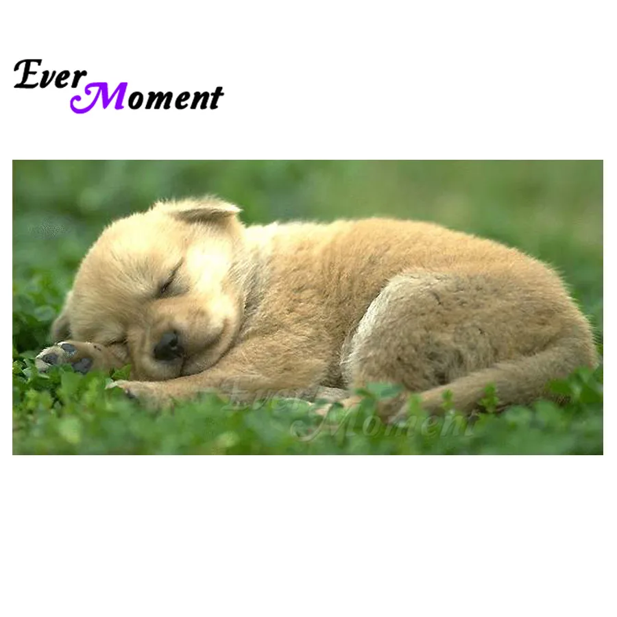 Ever Moment Diamond Painting Sleeping Dog Picture Of Rhinestone Full Square Drill Diamond Embroidery Cross Stitch 5D DIY ASF1359
Ever Moment Diamond Painting Sleeping Dog Picture Of Rhinestone Full Square Drill Diamond Embroidery Cross Stitch 5D DIY ASF1359