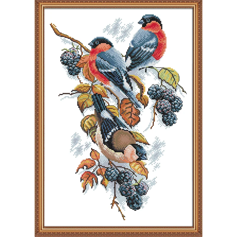NKF Red-bellied Bird Stamped Cross Stitch Patterns DIY Kits Animal Needlework Embroidery Sets for Home Decor
NKF Red-bellied Bird Stamped Cross Stitch Patterns DIY Kits Animal Needlework Embroidery Sets for Home Decor