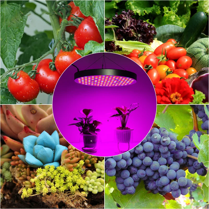 LED Full Spectrum Plant Grow Light 25W 45W 50W AC85-265V Indoor Plant Flowering Seedling Tent Hydroponic Lighting Phyto Lamp
LED Full Spectrum Plant Grow Light 25W 45W 50W AC85-265V Indoor Plant Flowering Seedling Tent Hydroponic Lighting Phyto Lamp