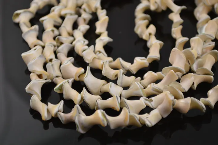Wholesale Cheapest 16'' sheel heart strand loose shell necklaces jewelry findings beads 10pc/lot free shipping
Wholesale Cheapest 16'' sheel heart strand loose shell necklaces jewelry findings beads 10pc/lot free shipping