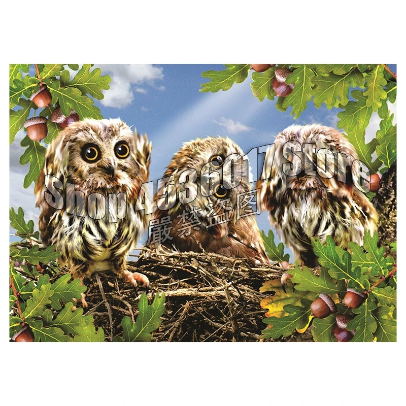 5D DIY Diamond Painting Birds Owls animals Flowers Christmas Gift Full Square Diamond Embroidery Cross Stitch Mosaic Home Decor
5D DIY Diamond Painting Birds Owls animals Flowers Christmas Gift Full Square Diamond Embroidery Cross Stitch Mosaic Home Decor