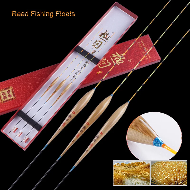 High Quality Reed Fishing Float Crucian&Carp Preferred Flotteur Pesca Date Pit Shape Bobbers Fishing Accessories Tackles(B02)
High Quality Reed Fishing Float Crucian&Carp Preferred Flotteur Pesca Date Pit Shape Bobbers Fishing Accessories Tackles(B02)