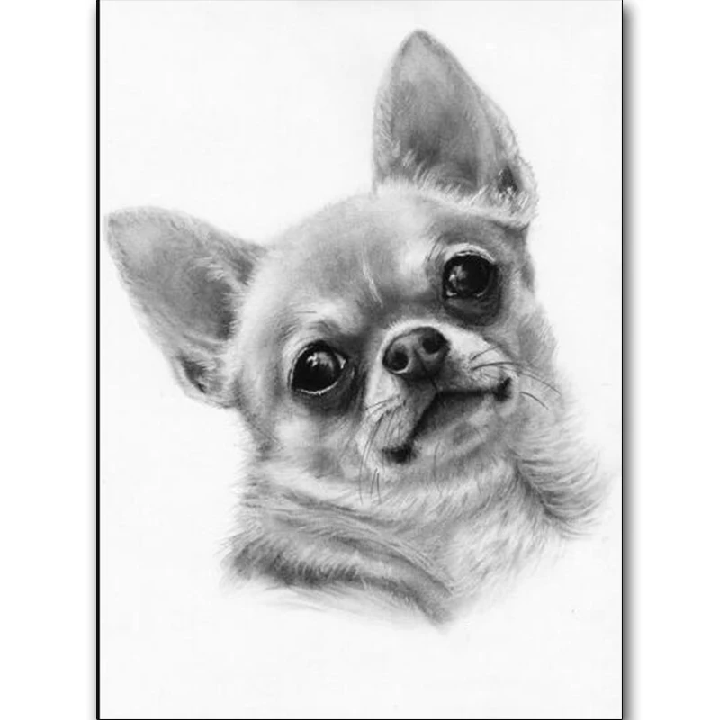 Diamond embroidery black white Chihuahua dog,diamond painting full square cross-stitch kits full diamond mosaic sale wall decor
Diamond embroidery black white Chihuahua dog,diamond painting full square cross-stitch kits full diamond mosaic sale wall decor