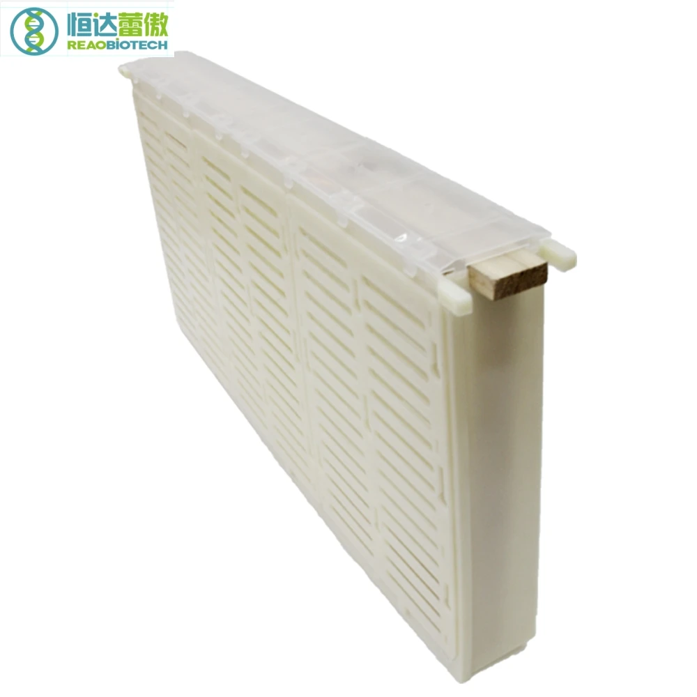 Beekeeping Bee Queen Bee Barrier Frame Bees Keeping Apiculture Equipment and Tools for Beekeeper
Beekeeping Bee Queen Bee Barrier Frame Bees Keeping Apiculture Equipment and Tools for Beekeeper