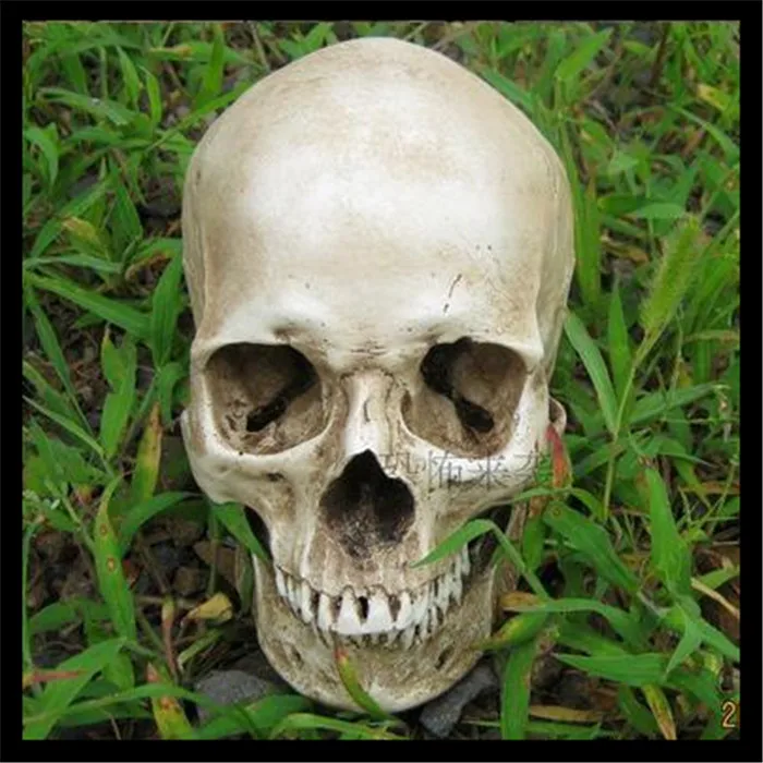 Free Shipping Halloween Decorations simulation 1:1 Cool Creative Human Skull Head Resin Halloween Haunt Stage Prop Decoration
Free Shipping Halloween Decorations simulation 1:1 Cool Creative Human Skull Head Resin Halloween Haunt Stage Prop Decoration