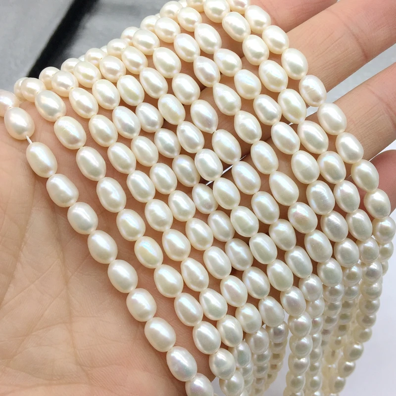 A Grade Natural Fresh Water Pearl Oval Rice Shape Bead 5-7 mm Smooth Drop Beads DIY Jewelry Making Supplies
A Grade Natural Fresh Water Pearl Oval Rice Shape Bead 5-7 mm Smooth Drop Beads DIY Jewelry Making Supplies