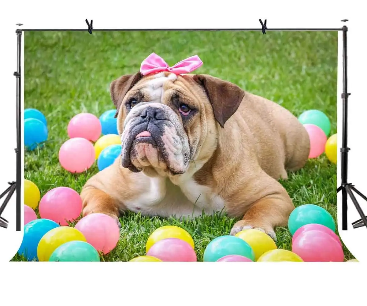 7x5ft Bulldog Backdrop Cute Bulldog Colorful Balloon Green Grass Photography Background and Studio Photography Backdrop Props
7x5ft Bulldog Backdrop Cute Bulldog Colorful Balloon Green Grass Photography Background and Studio Photography Backdrop Props