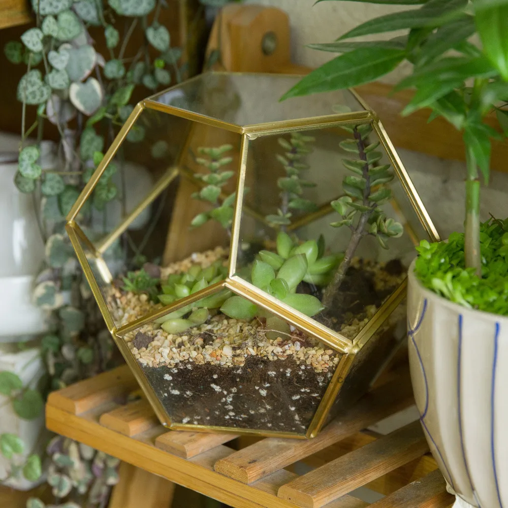 Geometric Iron Flower Vase Terrarium Succulent Plants Planter Pot Brass Balcony Decor Flower Pot
Geometric Iron Flower Vase Terrarium Succulent Plants Planter Pot Brass Balcony Decor Flower Pot