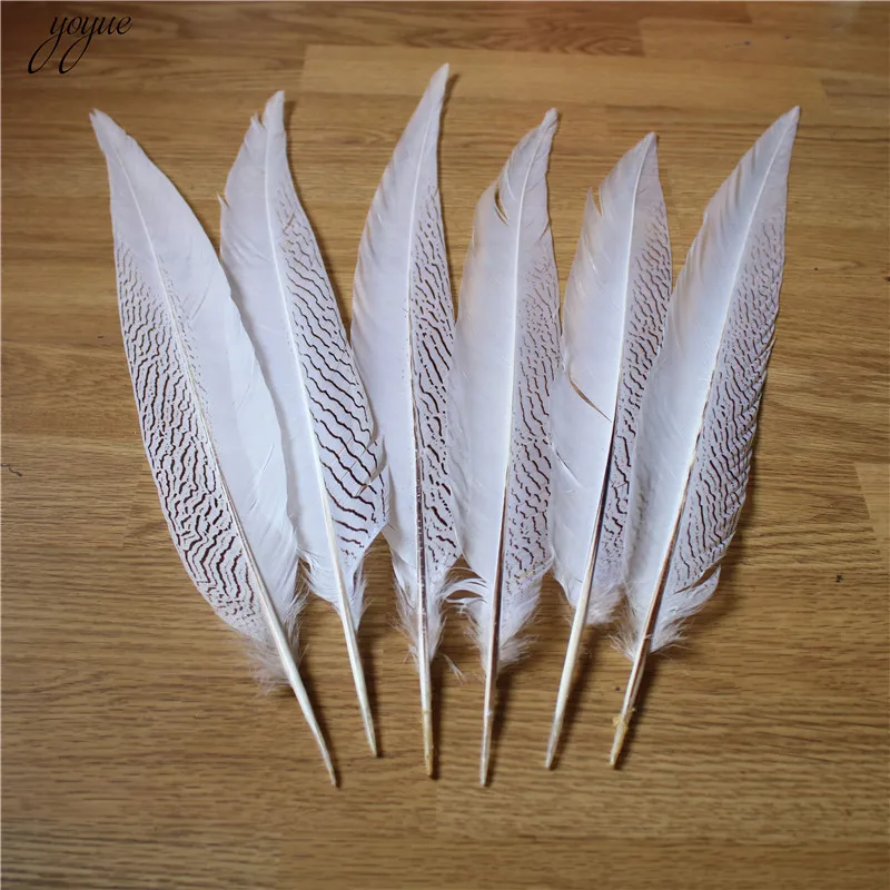 Hot Sale 10-80CM 4-32 Inch Silver Pheasant Tail Feathers DIY Wedding Decorations lady amherst white silver chicken feather plume
Hot Sale 10-80CM 4-32 Inch Silver Pheasant Tail Feathers DIY Wedding Decorations lady amherst white silver chicken feather plume