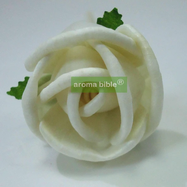 1000 pcs /lot Handmade sola wood flowers for fragrance diffuser and home decor with 12cm Rope or rattan reed sticks Top quality 
1000 pcs /lot Handmade sola wood flowers for fragrance diffuser and home decor with 12cm Rope or rattan reed sticks Top quality