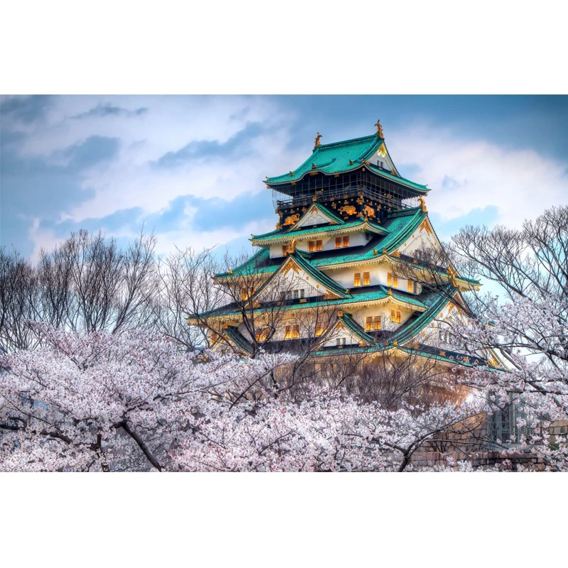 Full Square Drill 5D DIY cherry blossom season in Japan diamond painting Cross Stitch 3D Embroidery Kits home decor H112
Full Square Drill 5D DIY cherry blossom season in Japan diamond painting Cross Stitch 3D Embroidery Kits home decor H112