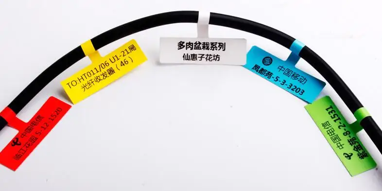 5000pcs 64x40mm network cable label sticker, Thermal paper material for thermal printer, Item No. HT07
5000pcs 64x40mm network cable label sticker, Thermal paper material for thermal printer, Item No. HT07