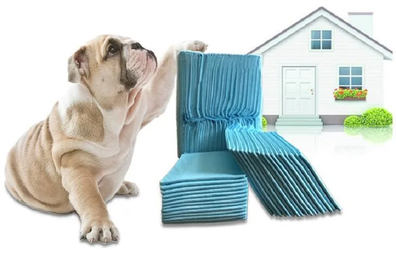 Healthy Clean Thickening Toilet Wet Mat For Pets Dog Cats Dairy Diaper Supplies Absorbent Pet Diaper Dog Training Pee Urine Pads
Healthy Clean Thickening Toilet Wet Mat For Pets Dog Cats Dairy Diaper Supplies Absorbent Pet Diaper Dog Training Pee Urine Pads