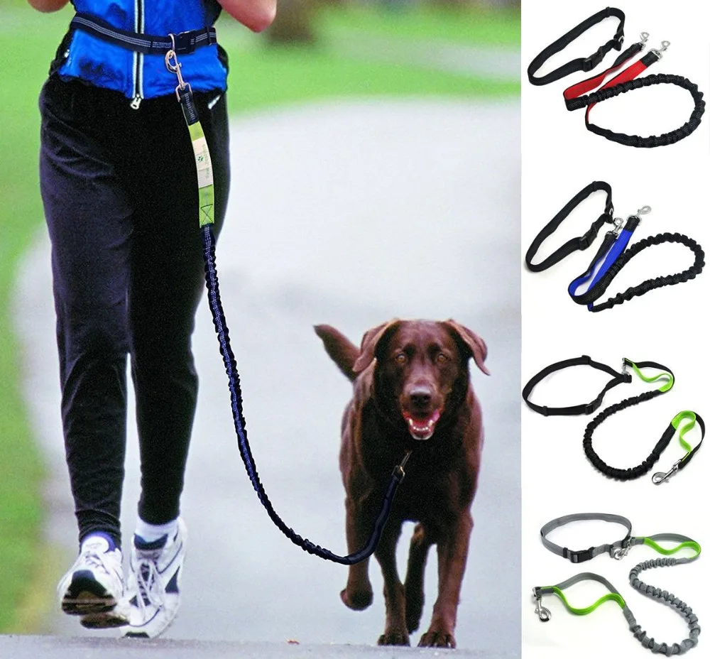 Pet Dog Running Leashes Hands Freely Great for Walking Dog Leash Rope with Reflective Jogging Dog Collars Leash
Pet Dog Running Leashes Hands Freely Great for Walking Dog Leash Rope with Reflective Jogging Dog Collars Leash