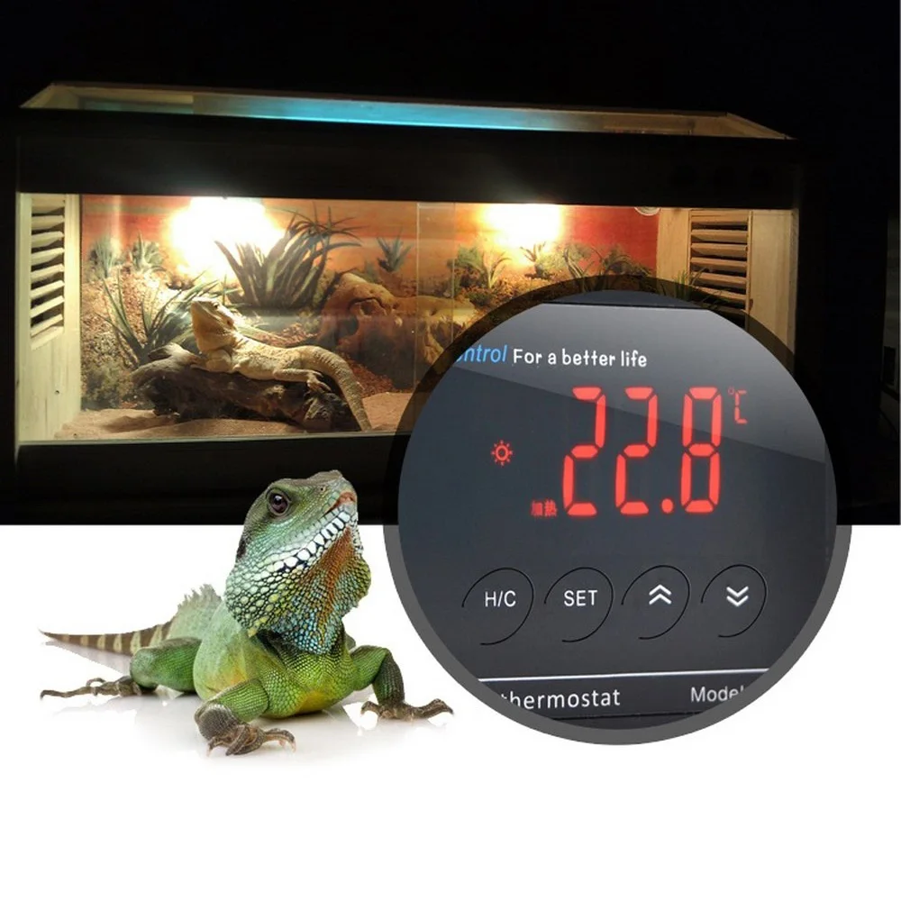Aquarium Reptile Thermostat Controller Digital Display Intelligent Plug-In Thermostat Universal Socket ON/OFF Regulator
Aquarium Reptile Thermostat Controller Digital Display Intelligent Plug-In Thermostat Universal Socket ON/OFF Regulator