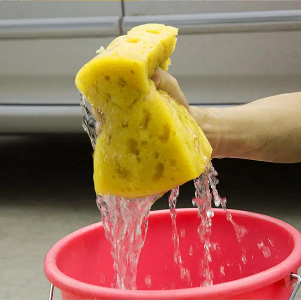Car Cleaning Spongee Fashion Honeycomb Big Macroporous Car Corral Cleaning Washing Block Use For Truck SUV RV Home Boat
Car Cleaning Spongee Fashion Honeycomb Big Macroporous Car Corral Cleaning Washing Block Use For Truck SUV RV Home Boat