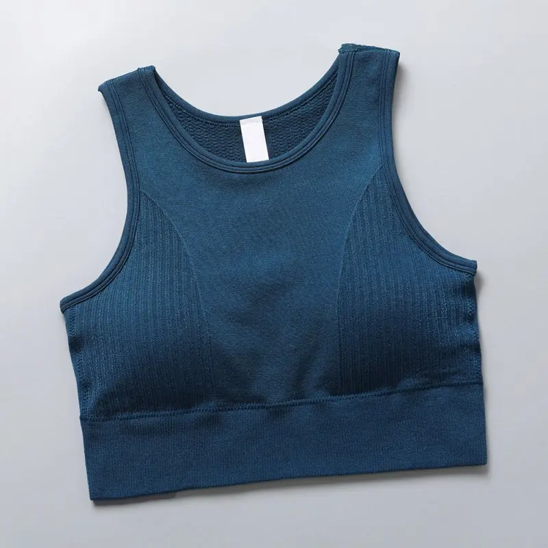 2021 Seamless Sports Bra Top Fitness Women Racerback Running Crop Tops Pink Workout Padded Bra High Impact Activewear PLUS SIZE 
2021 Seamless Sports Bra Top Fitness Women Racerback Running Crop Tops Pink Workout Padded Bra High Impact Activewear PLUS SIZE