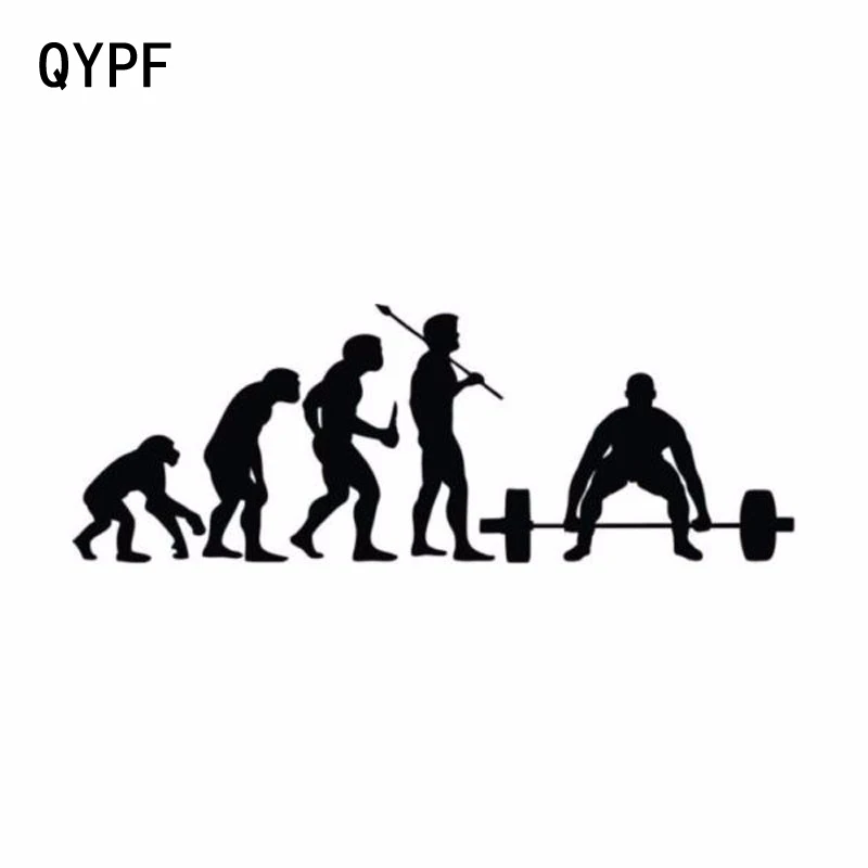 QYPF, 15,2 см * 5,3 см, модная эволюция, тяжелая атлетика, спортивные виниловые автомобильные наклейки, черные, серебристые
QYPF, 15,2 см * 5,3 см, модная эволюция, тяжелая атлетика, спортивные виниловые автомобильные наклейки, черные, серебристые