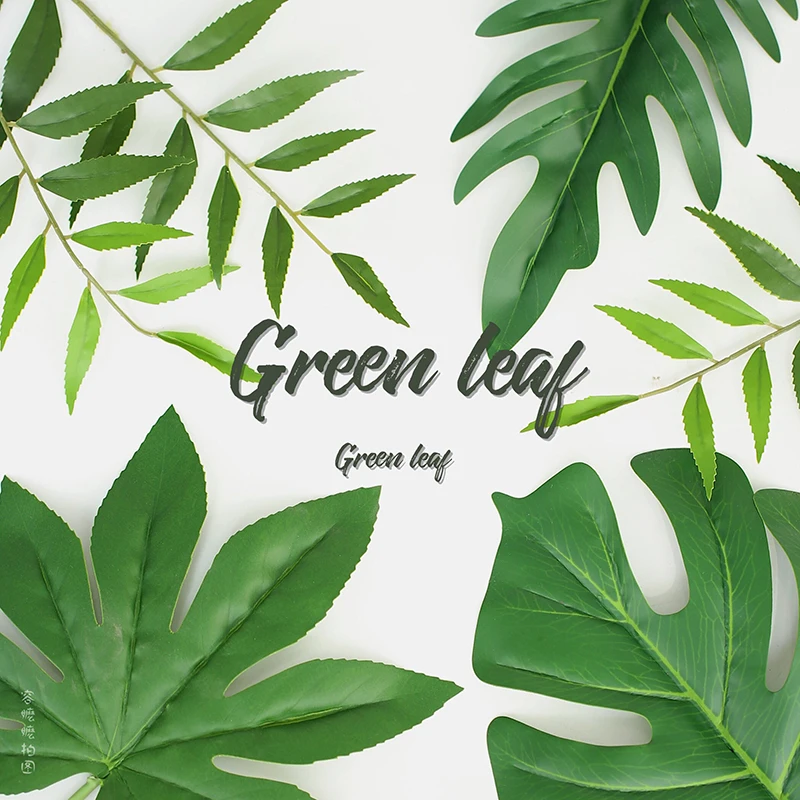 High-grade Simulated Leaves Plant Green Leaf Photography Background Photo Studio Shooting Backdrop Decoration Items fotografia
High-grade Simulated Leaves Plant Green Leaf Photography Background Photo Studio Shooting Backdrop Decoration Items fotografia
