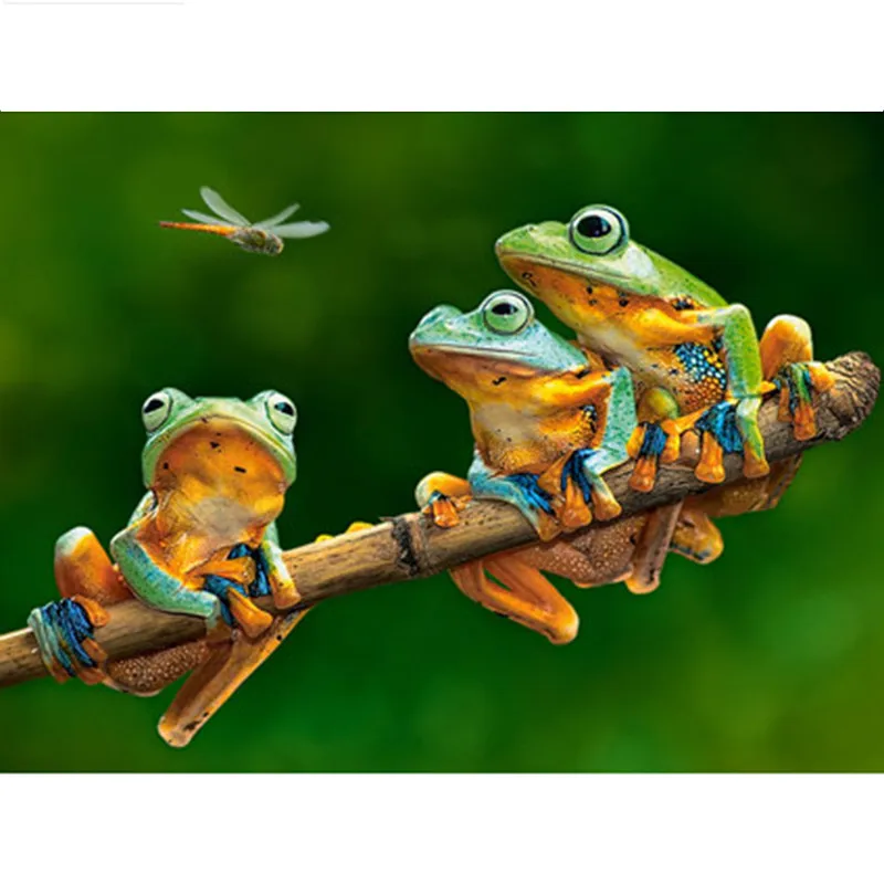 5D DIY Diamond painting Frog and dragonfly Full square/Round Diamond embroidery Cross Stitch Rhinestone Mosaic decor NX
5D DIY Diamond painting Frog and dragonfly Full square/Round Diamond embroidery Cross Stitch Rhinestone Mosaic decor NX