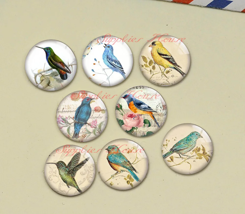 Handmade Round Bird Photo Glass Cabochons, Jewelry Finding Cameo Pendant Settings, (F037-520)
Handmade Round Bird Photo Glass Cabochons, Jewelry Finding Cameo Pendant Settings, (F037-520)