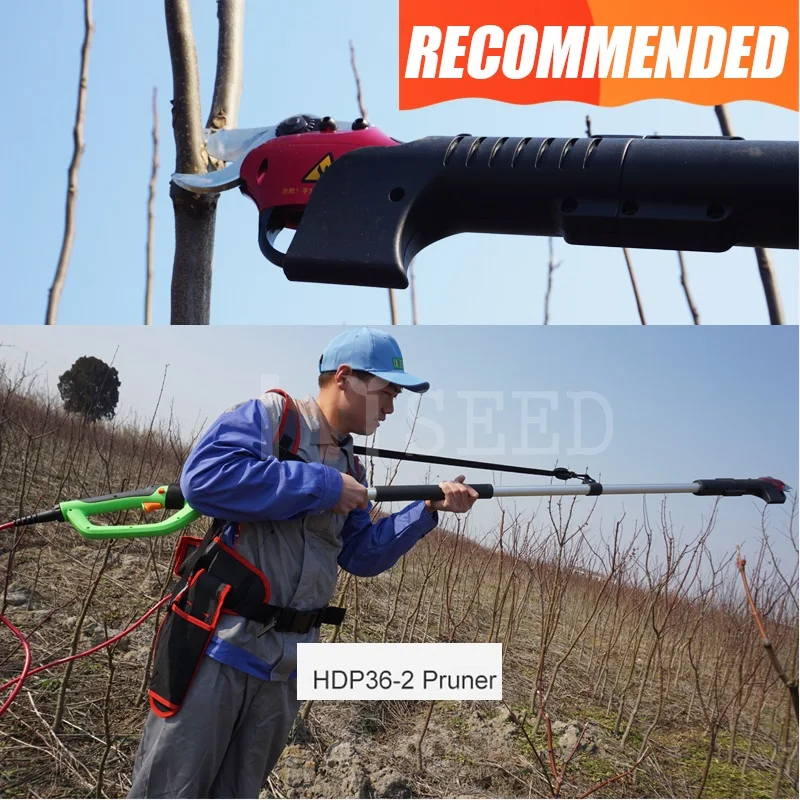 CE Battery Pruner Telescopic Scissors Orchard Garden Electric Secateurs (Forged Blade)
CE Battery Pruner Telescopic Scissors Orchard Garden Electric Secateurs (Forged Blade)