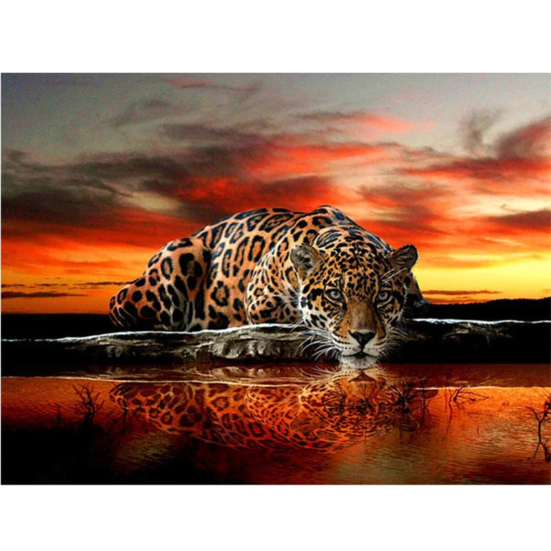 Lifyy Diy 5d Diamond Painting Full Drill Square Round Paint By Diamond Art Diamond Painting Home Decor Leopard
Lifyy Diy 5d Diamond Painting Full Drill Square Round Paint By Diamond Art Diamond Painting Home Decor Leopard