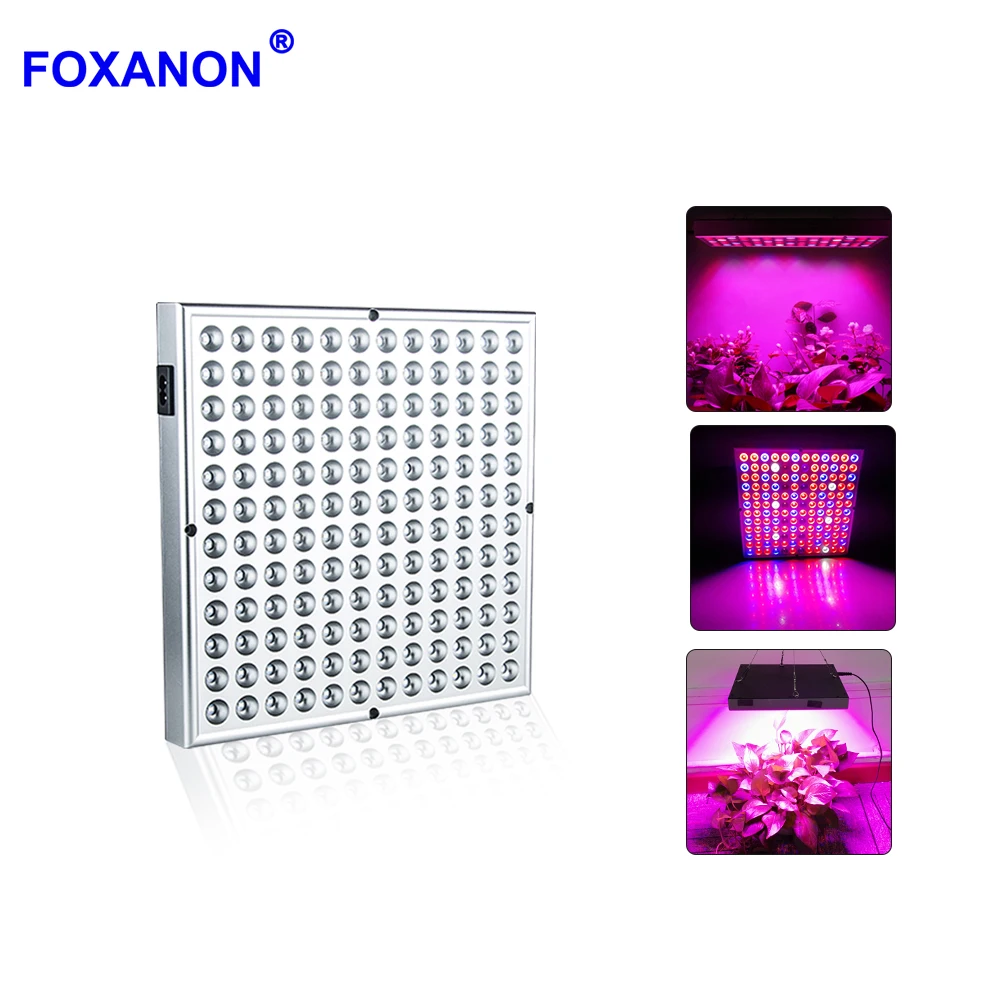 Foxanon 25W 45W 110V 220V LED Grow Light Full Spectrum Plants Lights Indoor Fitolampy Grow Lamp for Flowers Seeding Greenhouse
Foxanon 25W 45W 110V 220V LED Grow Light Full Spectrum Plants Lights Indoor Fitolampy Grow Lamp for Flowers Seeding Greenhouse