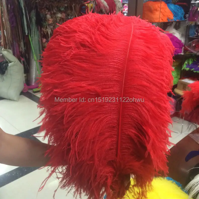 New 10 PCS beautiful natural red ostrich feathers wholesale 60 to 65 cm / 24 to 26 inches decorative feather
New 10 PCS beautiful natural red ostrich feathers wholesale 60 to 65 cm / 24 to 26 inches decorative feather