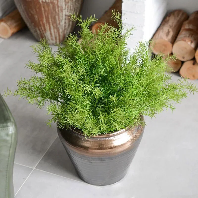 Artificial Asparagus Fern Grass Bushes Plastic Green Plants Flower Home Office Decorative Plants
Artificial Asparagus Fern Grass Bushes Plastic Green Plants Flower Home Office Decorative Plants