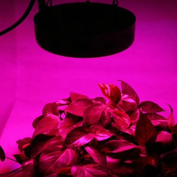 Qkwin led grow light 300W G1 with 1pcs 300W led Full spectrum with reflector LENS for high par value
Qkwin led grow light 300W G1 with 1pcs 300W led Full spectrum with reflector LENS for high par value