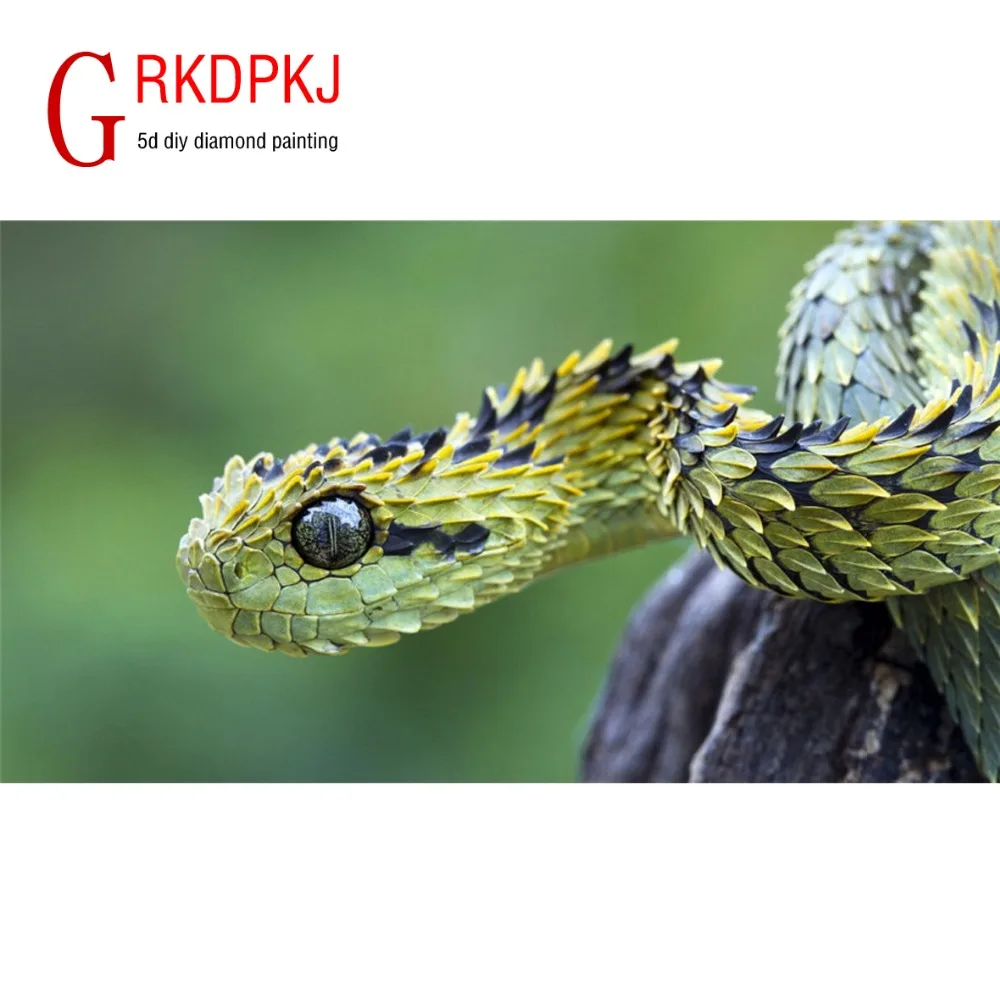 GRKDPKJ 5d алмазная картина полная дрель квадратная Алмазная вышивка крестиком