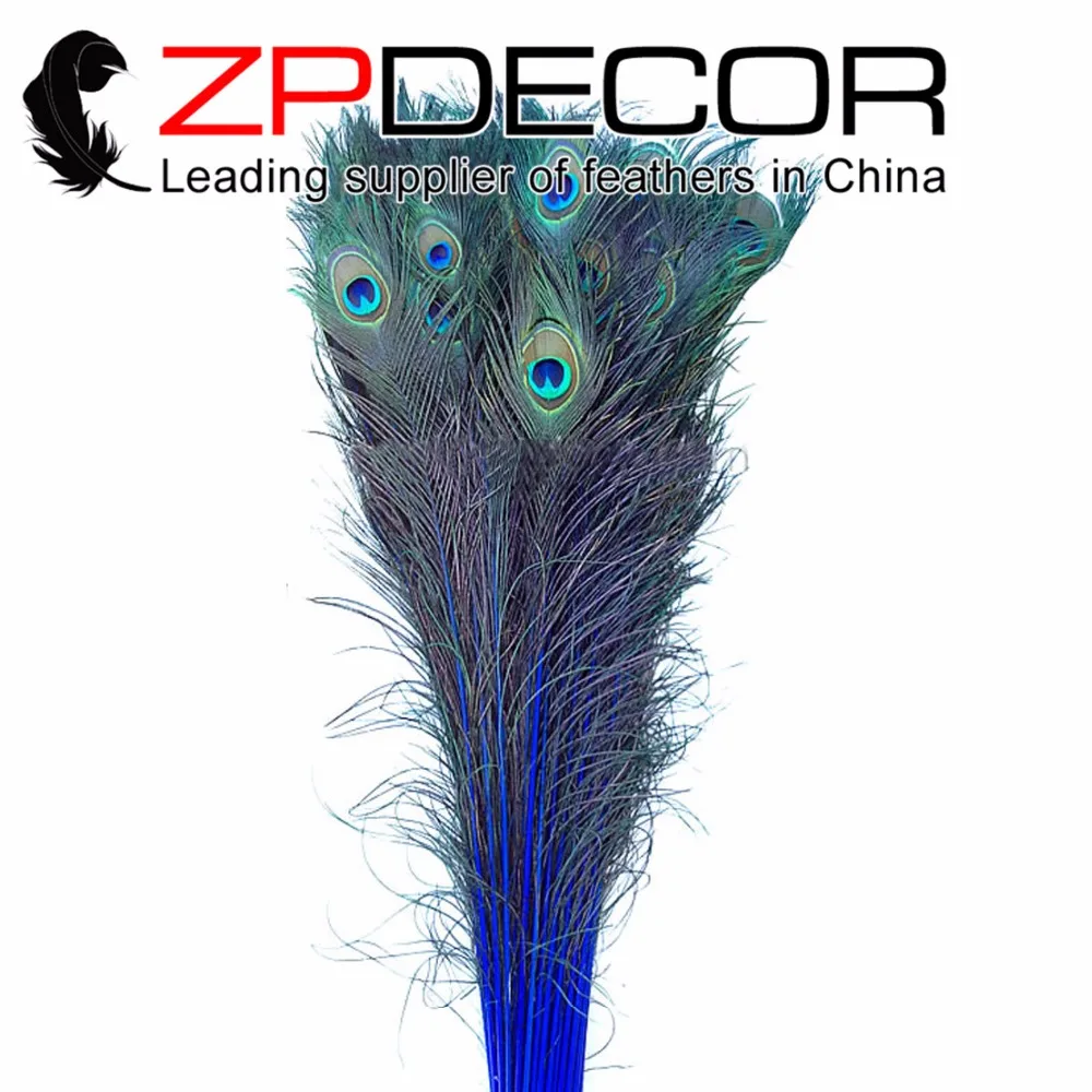 ZPDECOR 200pcs/lot 90~100cm(36~40inch) Hand Select Royal Blue Long Two Eyes Peacock Feather For Sale
ZPDECOR 200pcs/lot 90~100cm(36~40inch) Hand Select Royal Blue Long Two Eyes Peacock Feather For Sale